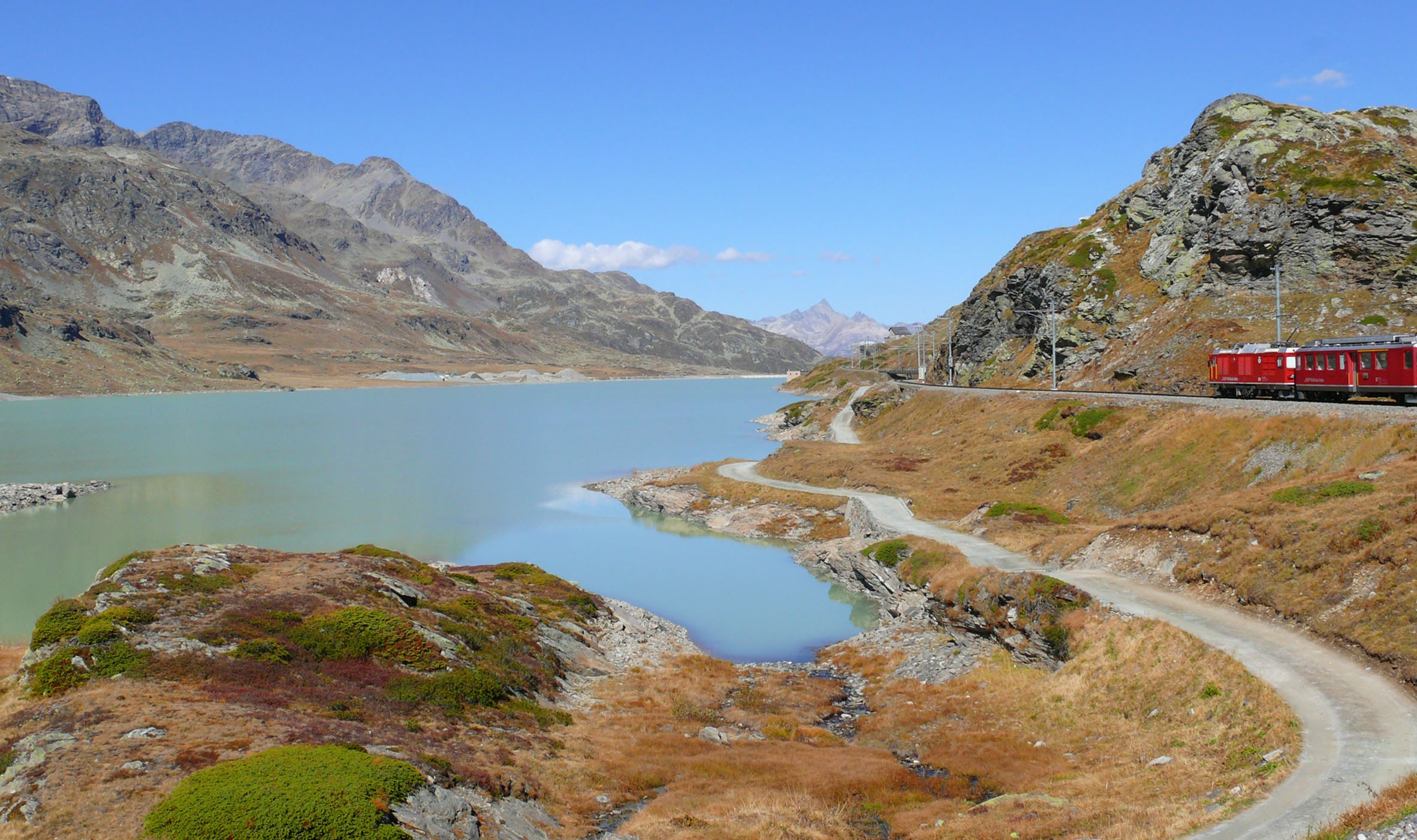 Bernina di spyrogyra