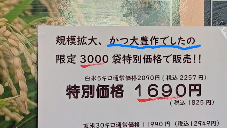 エクサの宮ヶ瀬湖鳥居原園地駐車場・今年最後のラストラン？（2回言ってる）・ポジションランプ交換・オギノパン・愛車のお尻はこんな感じに関するカスタム事例の投稿画像10枚目