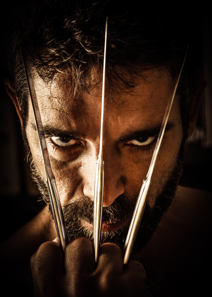 Wolverine di Laura Benvenuti