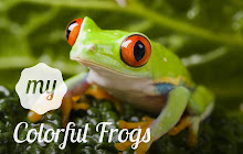 My Colorful Frogs - Lovely Frog HD Wallpapers small promo image