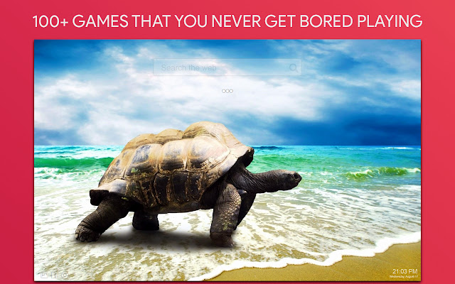 Turtle Wallpaper HD Custom New Tab