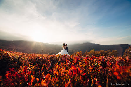 Fotógrafo de casamento Oleg Dobrianskyi (dobrianskiy). Foto de 10 de novembro 2015