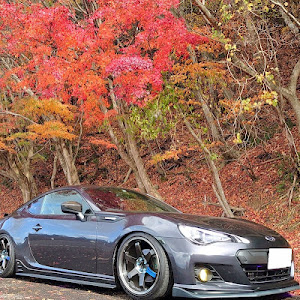 BRZ ZC6