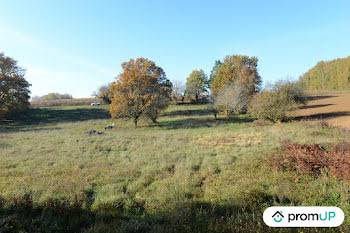 terrain à Mouleydier (24)