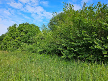 terrain à Pinon (02)