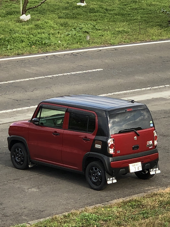 ハスラーのタフワイルド・秋に関するカスタム事例の投稿画像2枚目