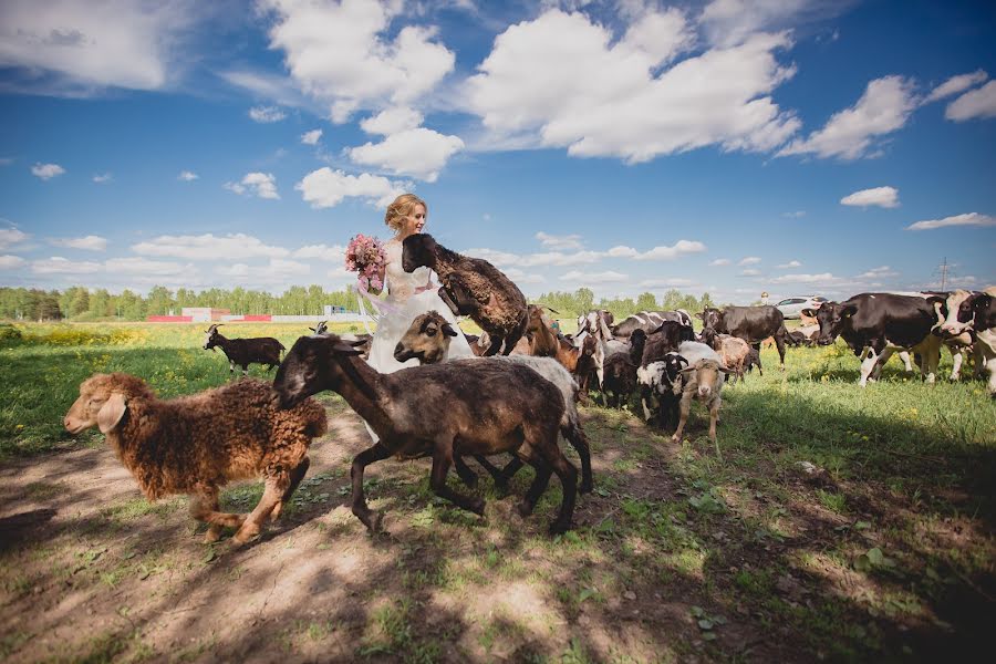 Wedding photographer Svetlana Bogomolova (svetlanaivanova). Photo of 28 May 2015