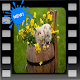 Download Funny Rabbit Wallpaper For PC Windows and Mac 1.0