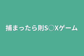 捕まったら則S○Xゲーム