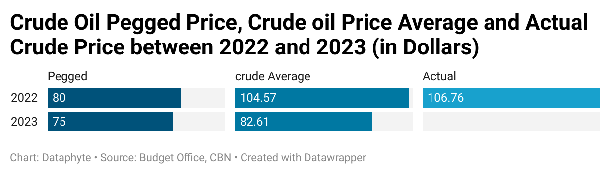 Analysis: Why is there petrol scarcity?