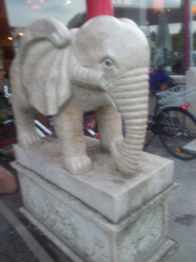 Elefant