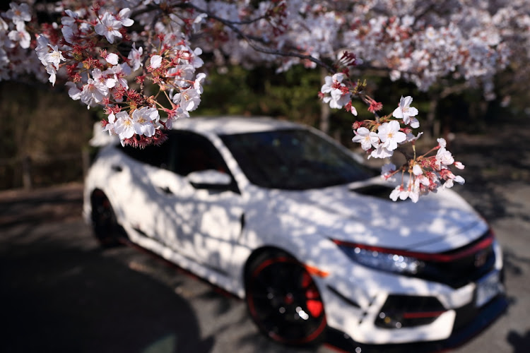 シビックタイプRの桜と愛車・桜に関するカスタム事例の投稿画像3枚目