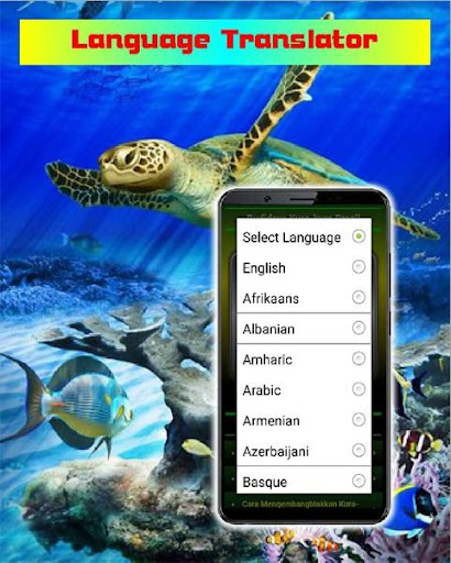 Success of Brazilian Tortoise Cultivation