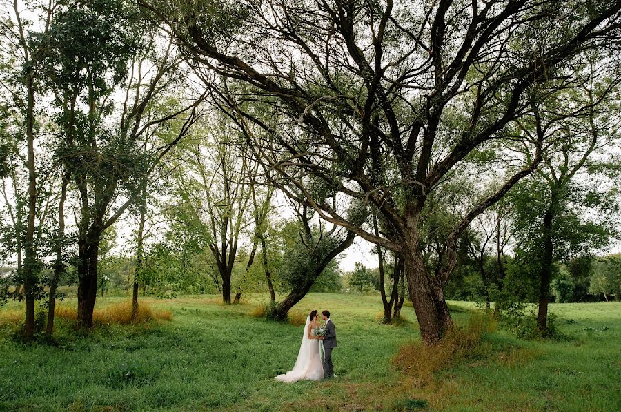 Fotografo di matrimoni Stanislav Rudkovskiy (sten1988). Foto del 24 novembre 2017