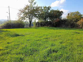 terrain à Saint-Christophe-en-Brionnais (71)