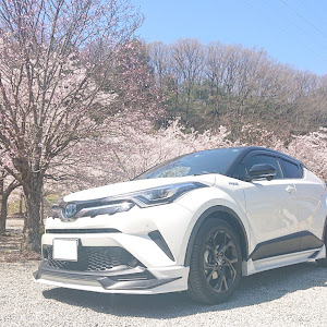 C-HR ZYX10