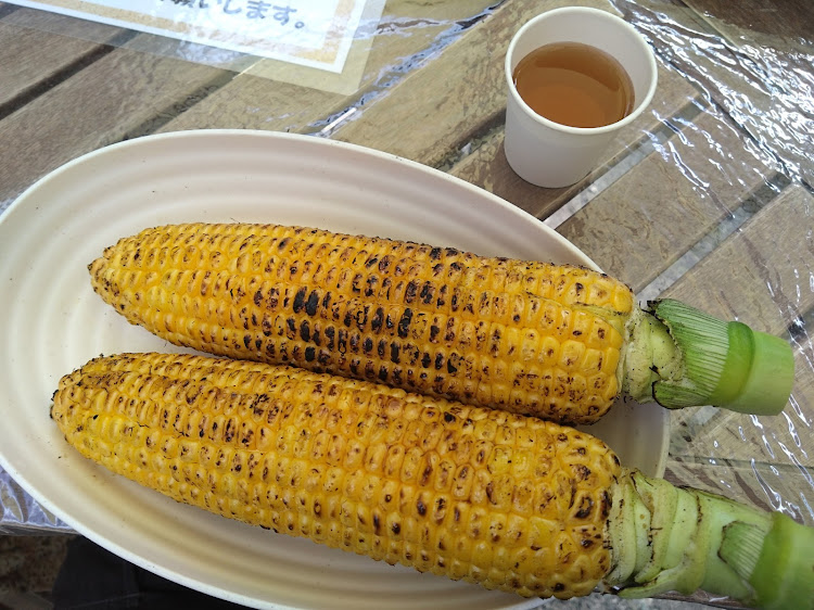 グロリアのあなたの燃費はどれくらい？に関するカスタム事例の投稿画像2枚目