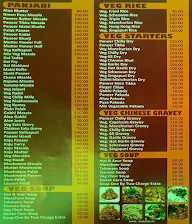 Santushti Food Plaza, M H Kirekee menu 5