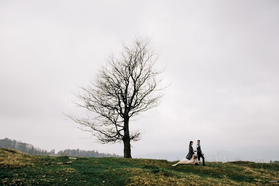 Wedding photographer Andrey Tkachenko (andr911). Photo of 24 January 2019