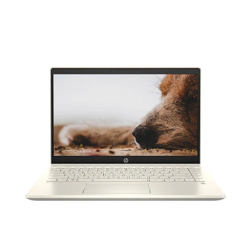 Laptop HP Pavilion 14-ce2041TU (14" FHD/i5-8250U/4GB/1TB HDD/UHD 620/Win10/1.6 kg)