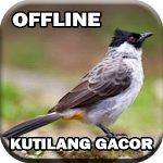 Cover Image of Unduh Master Burung Kutilang Gacor 3.0 APK