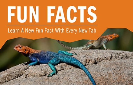 FunFacts small promo image