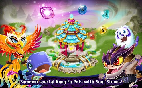 Kung Fu Pets