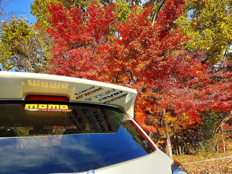 ヴィッツの岡山・🍁紅葉・寒い🥶・ネタ切れ警報発令中・12月もよろしくお願いしますに関するカスタム事例の投稿画像1枚目