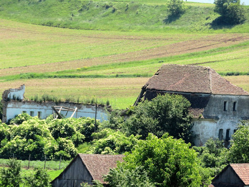 Transylvanian Winery România 2016