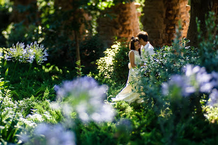 Fotografo di matrimoni Irina Paley (paley). Foto del 10 luglio 2015