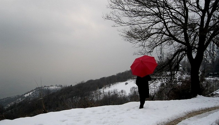 Red and Snow di patapam