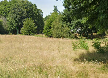 terrain à Landeronde (85)