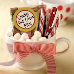 Best Hot Cocoa Mix was pinched from <a href="http://spoonful.com/recipes/best-hot-cocoa-mix" target="_blank">spoonful.com.</a>