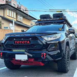 RAV4 MXAA54