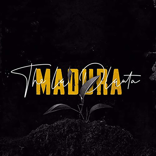 Madura - YouTube Music