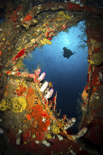 Scuba dive around the three shipwrecks in Bayahibe, Dominican Republic.