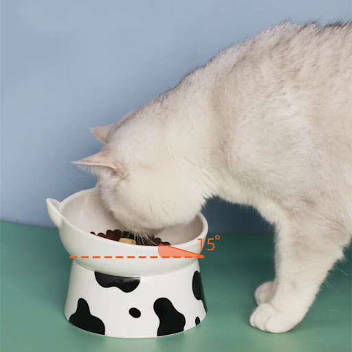 Title 5, Large Diameter Ceramic Pet Bowl with High Foot ...
