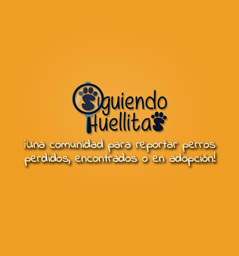 Siguiendo Huellitas