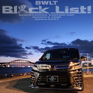 ヴォクシー ZRR80W