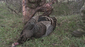 S.D. Turkey Mike/Rock thumbnail