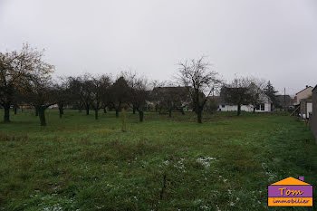 terrain à batir à Jebsheim (68)