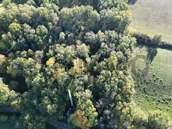 terrain à Puylaurens (81)