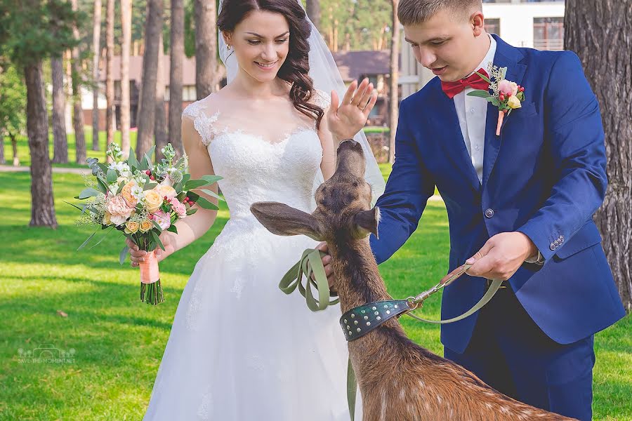 Fotógrafo de casamento Nadia Koles (savethemoment). Foto de 12 de junho 2016