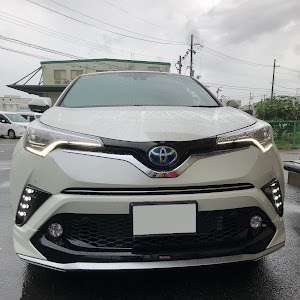 C-HR ZYX10