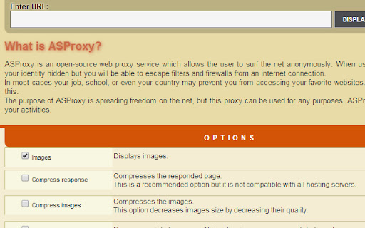 Anonymous Proxy Browser