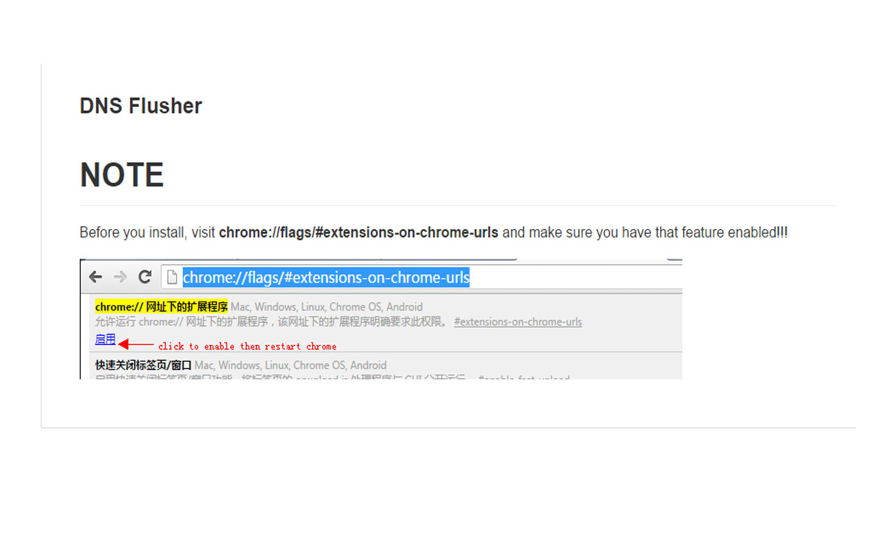 DNS Flusher Preview image 0