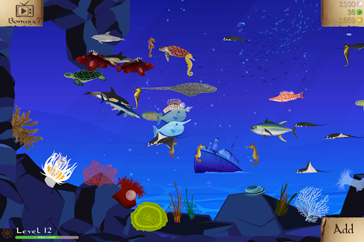 Screenshot Coral Reef