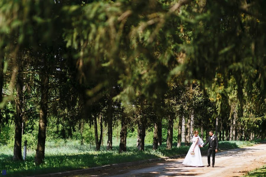 Fotograful de nuntă Sergiu Cotruta (serko). Fotografia din 1 iulie 2018