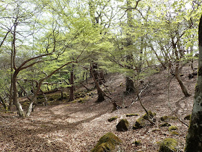 京丸山へ向かう