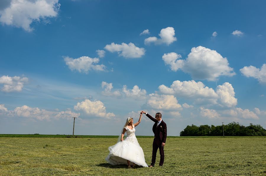 Photographe de mariage Sasa Rajic (sasarajic). Photo du 24 février 2023